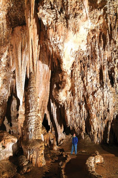 Eddy | Desert, Carlsbad Caverns, Chihuahuan | Britannica