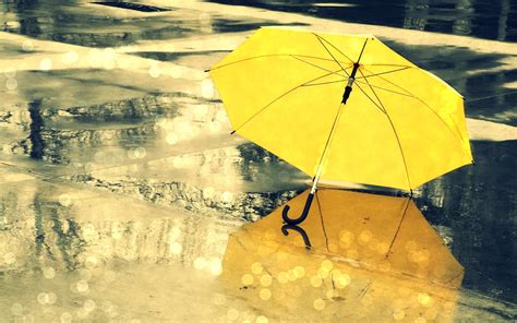 Yellow Umbrella Rain - Mystery Wallpaper