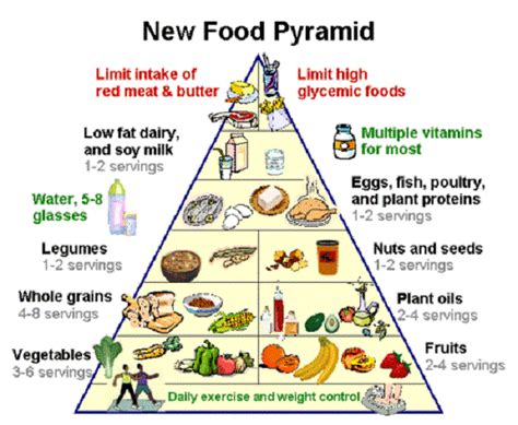 USDA New Food Pyramid 2015 images | human body | Pinterest | Food pyramid and Food