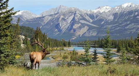 Jasper National Park, Canada - WorldAtlas