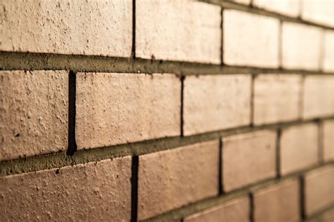 Brick Wall Free Stock Photo - Public Domain Pictures