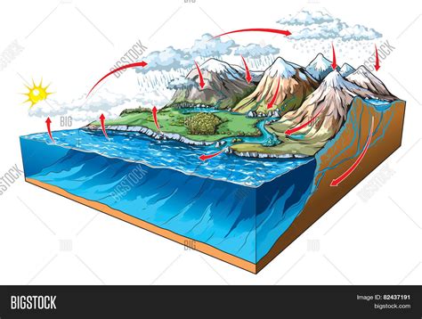 Water Circulation Vector & Photo (Free Trial) | Bigstock