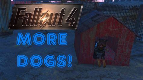 Fallout 4 - Get More Dogs! [Not A Mod] - YouTube