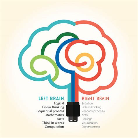 Brain Bandwidth Illustrations, Royalty-Free Vector Graphics & Clip Art - iStock