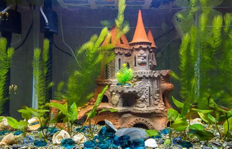 How To Make Aquarium Decorations Safe (Top 10 Ways)