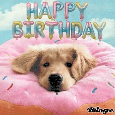 Happy Birthday Donut Dog Pictures, Photos, and Images for Facebook, Tumblr, Pinterest, and Twitter