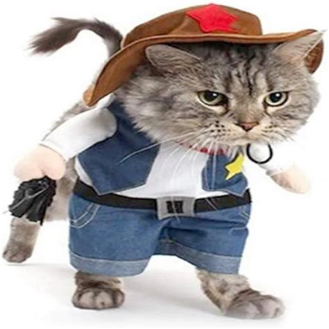 Funny-Pet-Dog-Cat-Halloween-Costume-Dog-Cowboy-Clothes-Pet-Dog-Costumes ...