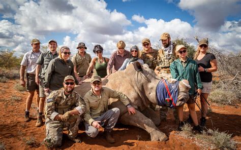 How Can I Help Endangered Animals In Africa? | VETPAW