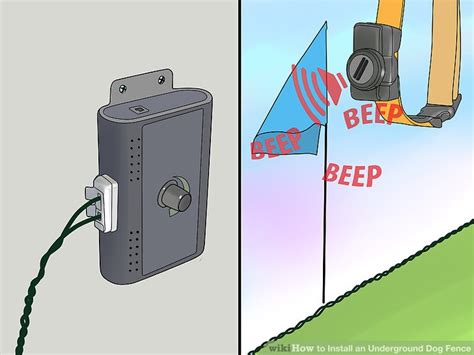 3 Ways to Install an Underground Dog Fence - wikiHow