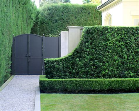 Perfect Yew Hedge | Moss Landscaping