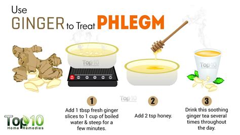 Home Remedies for Phlegm | Top 10 Home Remedies