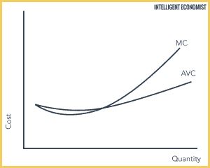 Average Variable Cost - Intelligent Economist