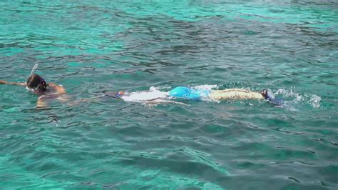 Tourists snorkeling near the Similan Islands 24488730 Stock Video at ...