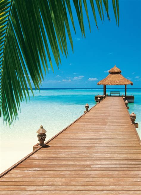 PARADISE BEACH Wall Mural | Buy at EuroPosters