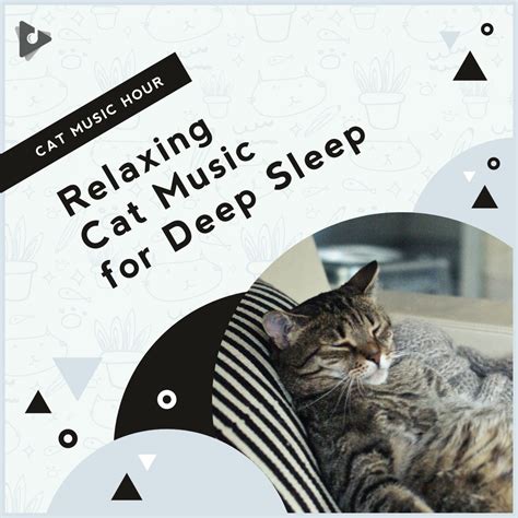 Relaxing Cat Music for Deep Sleep Album | Lullify