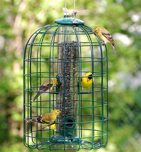 6 Squirrel Proof Bird Feeders [That ACTUALLY Work!] - Bird Watching HQ ...