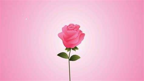 beautifull pink roses flowers garden animation ,4k video animated Motion Background - Storyblocks