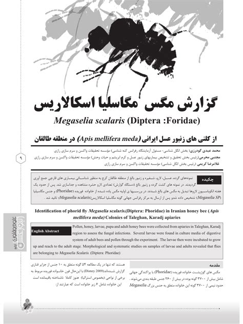 (PDF) Identification of phorid fly Megaselia scalaris (Diptera: Phoridae) in Iranian honey bee ...