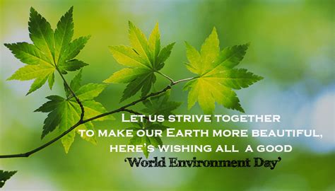 Ever ‘Green’ Quotes Which Will Remind You World Environment Day 2016 is Important