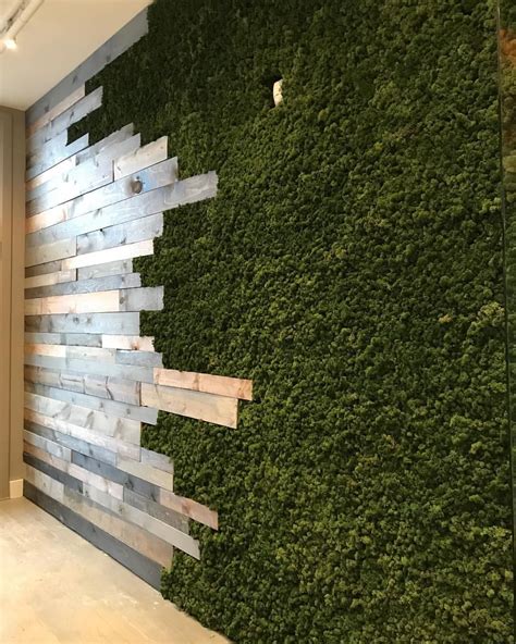 We are loving this custom reclaimed wood and moss wall! #greenwall #mosswall #botanicart ...