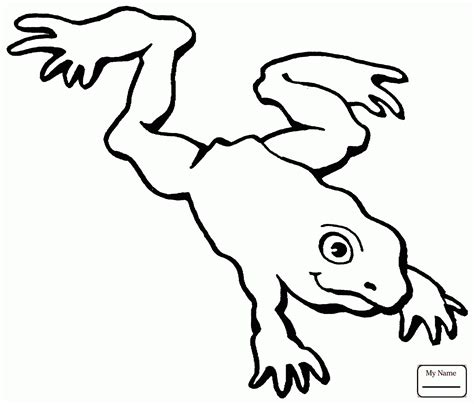 Realistic Frog Coloring Pages | Free download on ClipArtMag