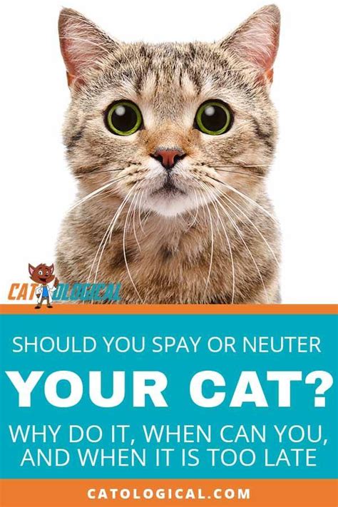 Bob Barker may have said to have your pet spayed or neutered, but should you actually follow his ...