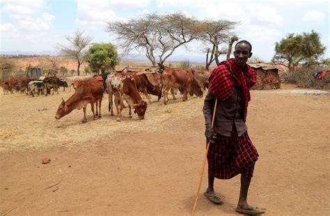 Horn of Africa drought not possible without climate change--study ...