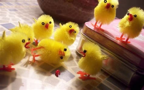 Easter Chick Wallpaper - WallpaperSafari