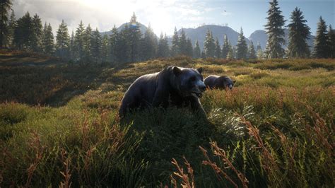 Thehunter call of the wild pc review - manageriop