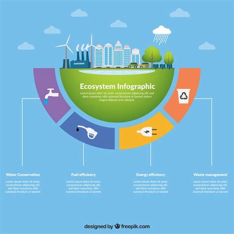 Free Vector | Ecosystem infographic concept