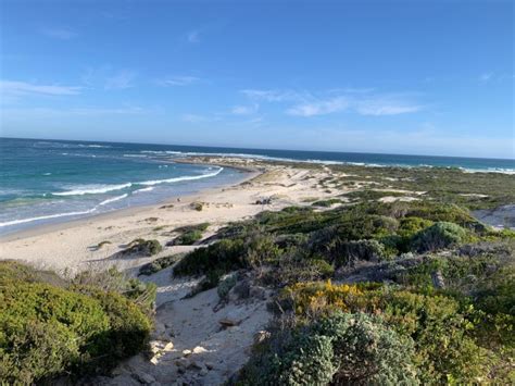 Agulhas spreads its wings as hotbed of cool climate possibilities ...