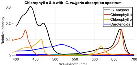 Absorption spectra of different pigments, relevant for photosynthesis,... | Download Scientific ...