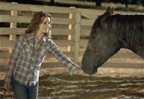 Flicka (2006) | 2000's Movie Guide