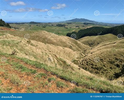 View of Waikato farmland stock image. Image of beauty - 113290787