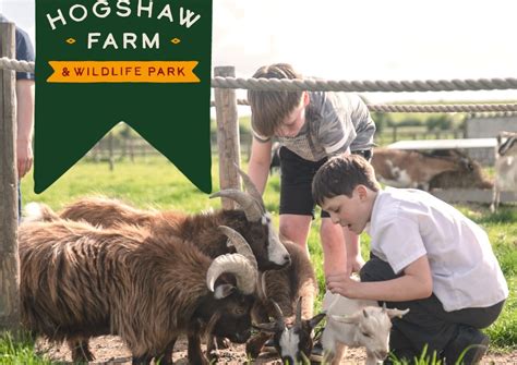 Hogshaw Farm & Wildlife Park | Chilterns AONB