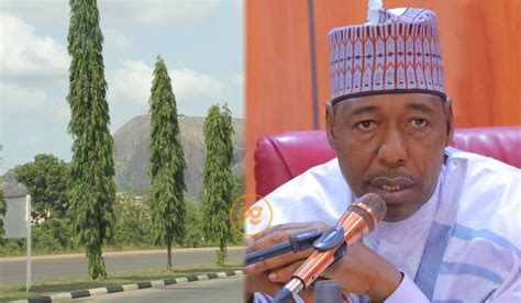 Desertification: Zulum to plant five million trees in Borno in 2023 ...