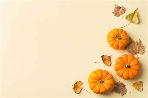 Download Pumpkin Fall Thanksgiving Wallpaper Wallpaper | Wallpapers.com