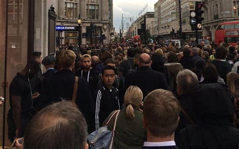 Victoria Line: Severe delays after police investigate 'noxious substance' on Tube carriage ...