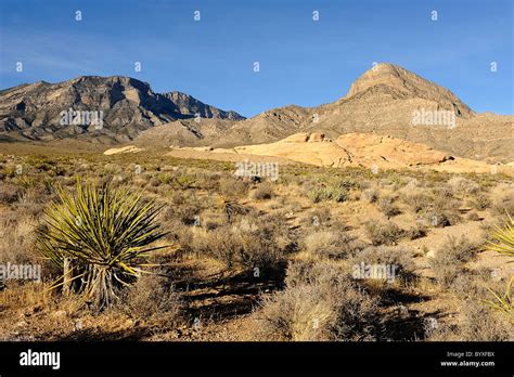 Red Rock Canyon, Nevada, USA Stock Photo - Alamy