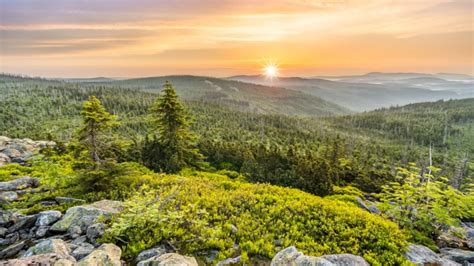 Der Bayerische Wald: Ein Traum für Wanderer - Regensburger Nachrichten - News, Meldungen und ...