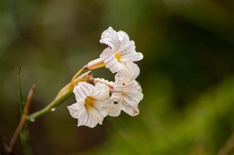 Torres del Paine National Park - Explora Conservation Reserves