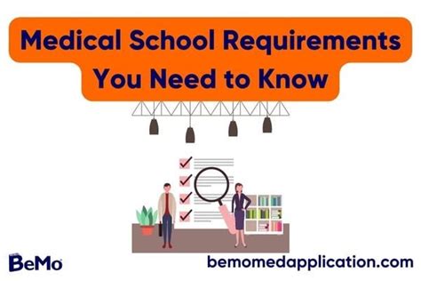 10 Medical School Requirements You Need To Know | BeMo®