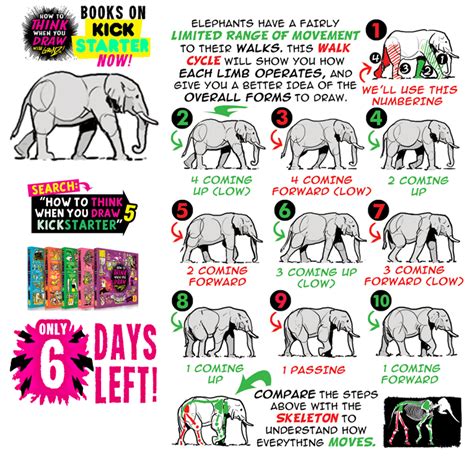 an elephant's life cycle is shown in this graphic style, with instructions on how to use it