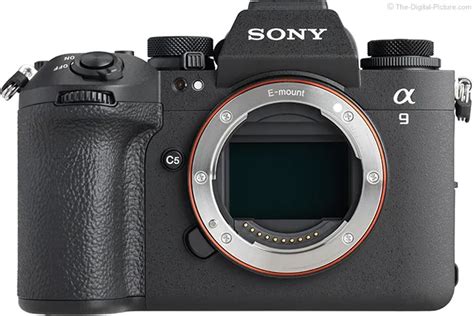 Sony Alpha 9 III Review