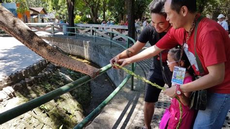 Manila Zoo (Philippines): Top Tips Before You Go (with Photos) - TripAdvisor