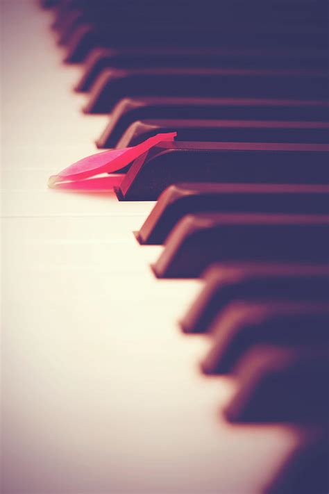 Alone At A Piano Photograph by Iryna Goodall - Fine Art America