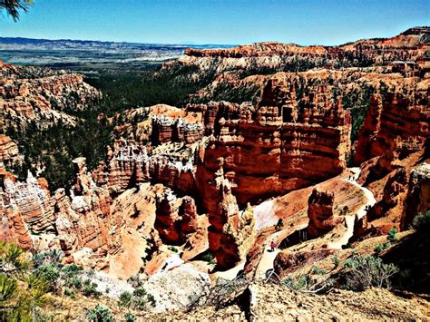 Bryce Canyon & Zion National Park Photography by: Cherry Vercher | National parks photography ...