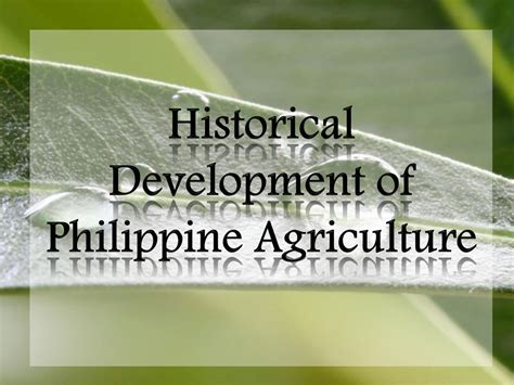 SOLUTION: History of philippine agriculture - Studypool