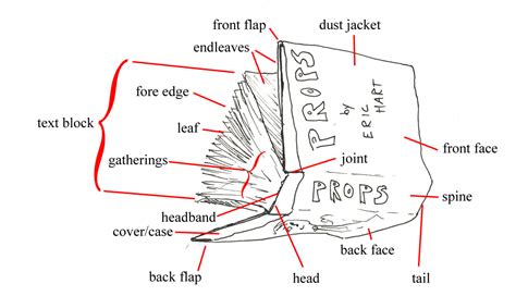 A diagram and definitions of the major parts of a book. | Parts of a ...