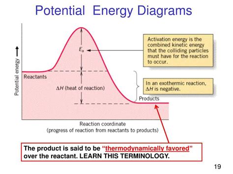 Understanding Potential Energy Diagrams: Examples and Analysis